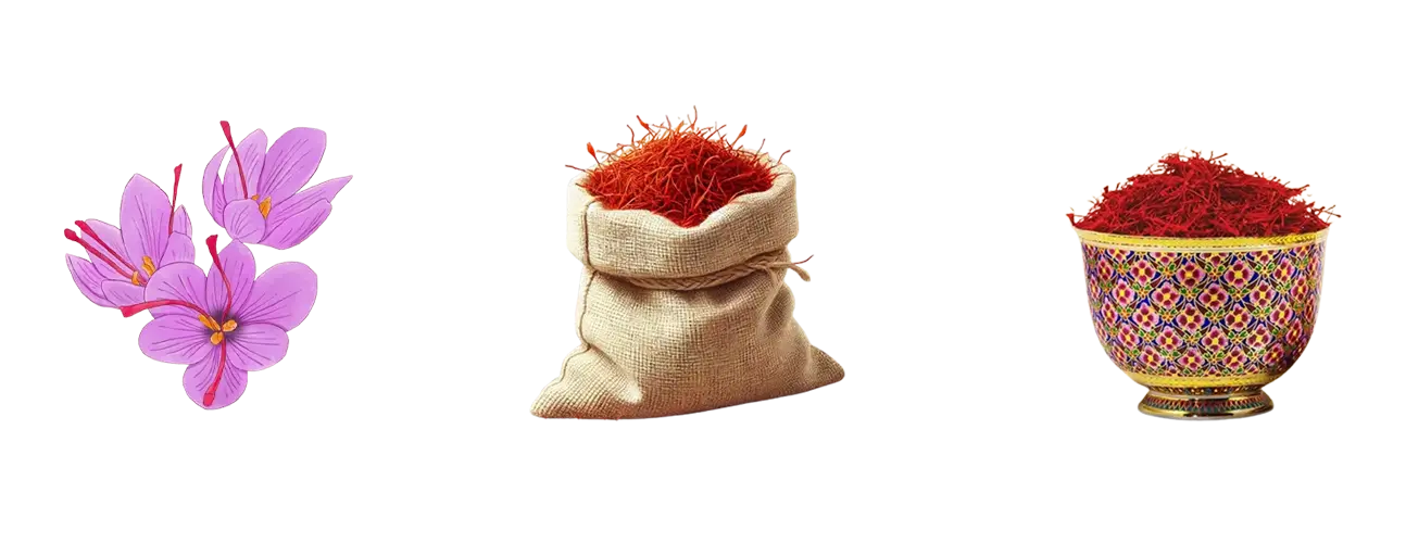 صادرات زعفران: از مزارع ایران به جهان - زعفران - Sagheh Chin