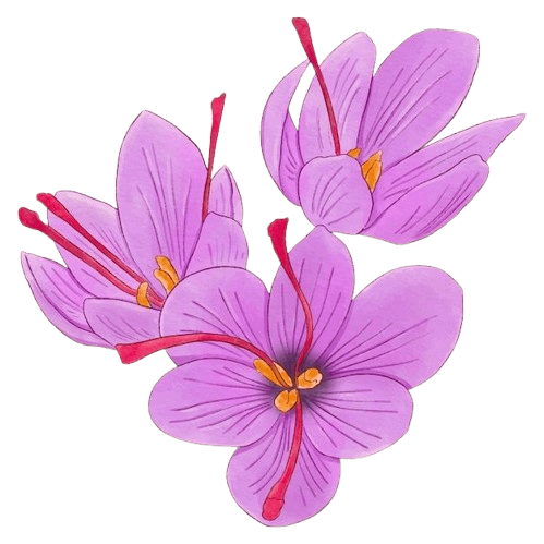 شریک تجاری ساقه چین - استانداردهای بین‌المللی